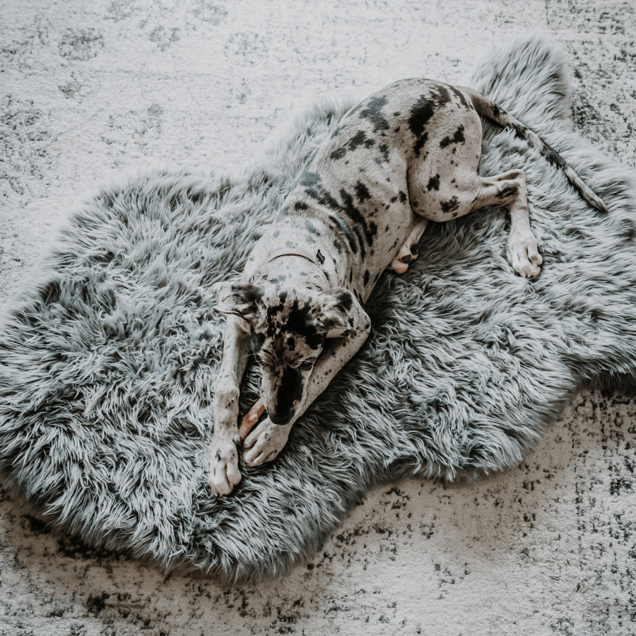 Memory Foam Dog Bed Faux Fur Charcoal Grey Orthopedic Comfor - close up view