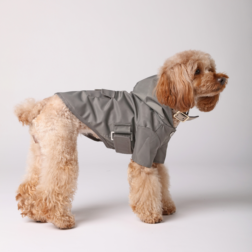 Dog Apparel Active Outdoor Wear Adjustable GRAY Comfort - close up view