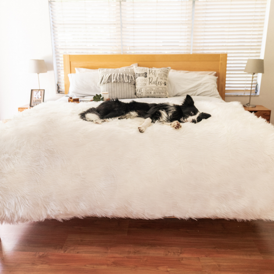 Pupprotector Waterproof Throw Blanket Polar White Washable - gallery image 8