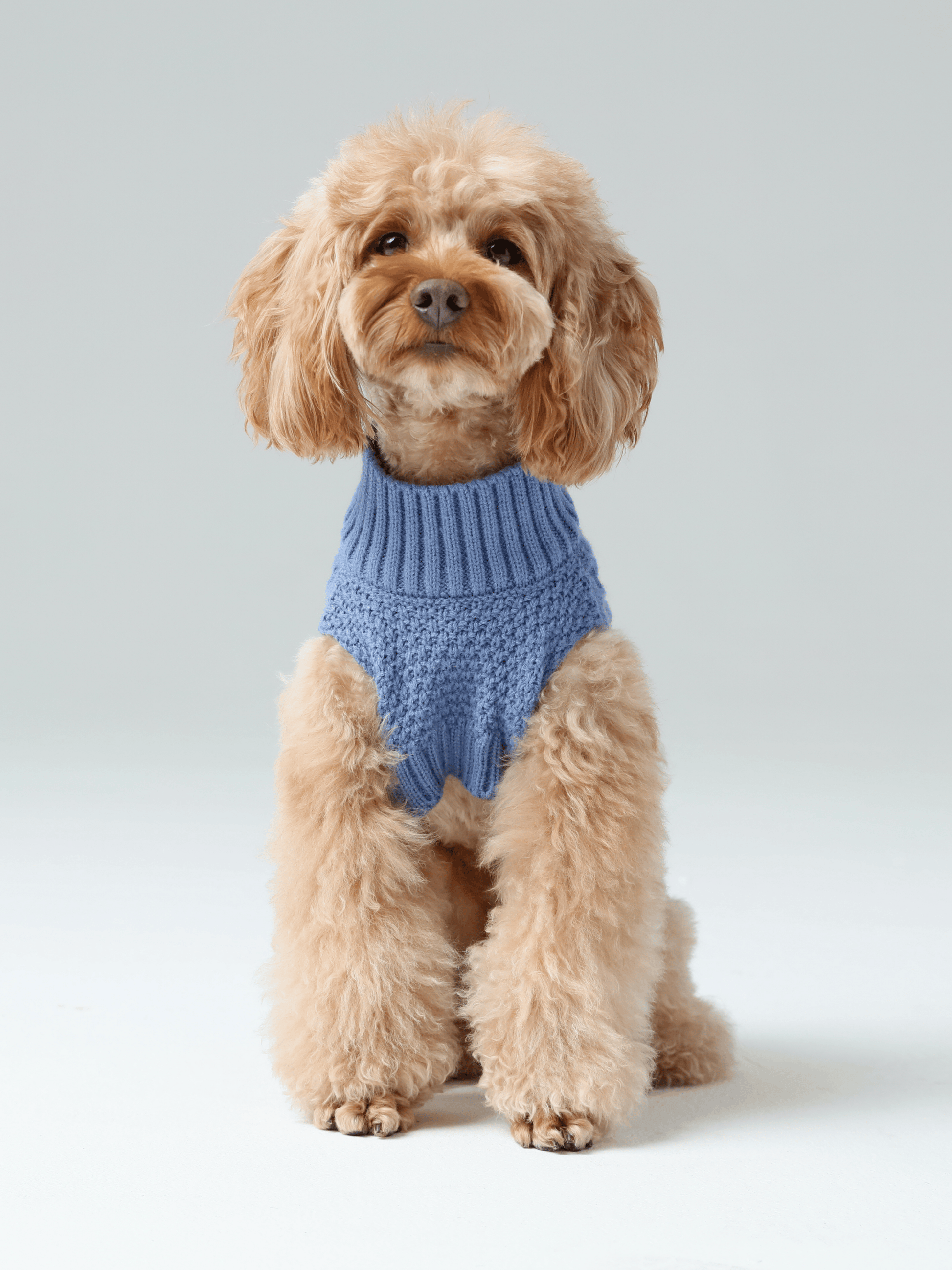 Dog Sweaters Adjustable Blue Premium Pet Supply Premium Pet - gallery image 5