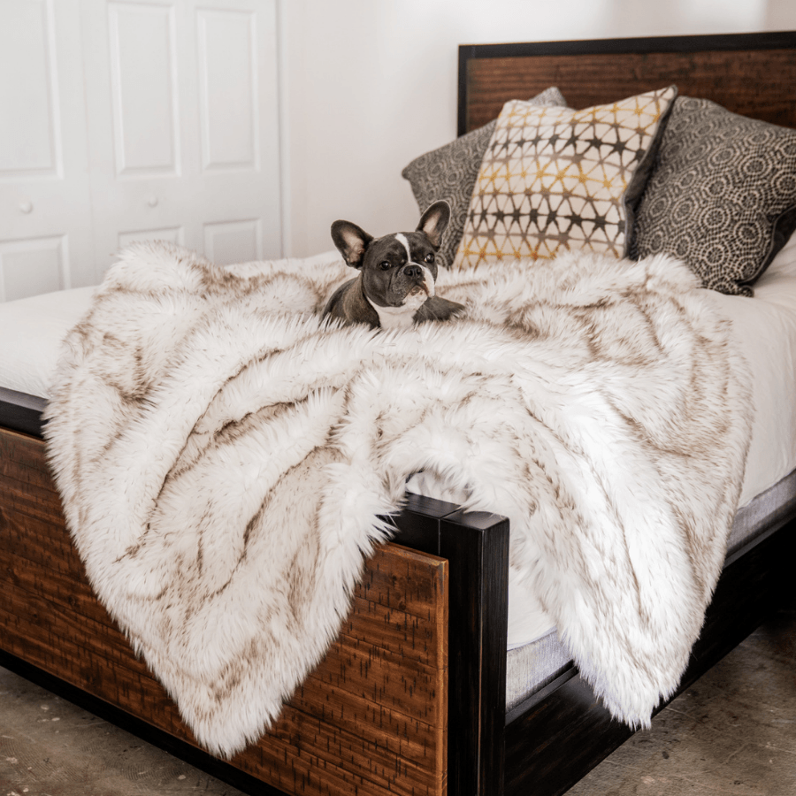 Pupprotector Waterproof Throw Blanket White With Brown Pet - main product image