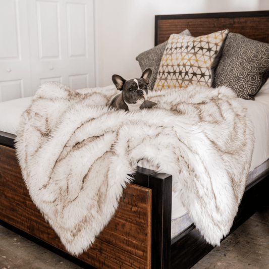 Pupprotector Waterproof Throw Blanket White With Brown Pet - main product image