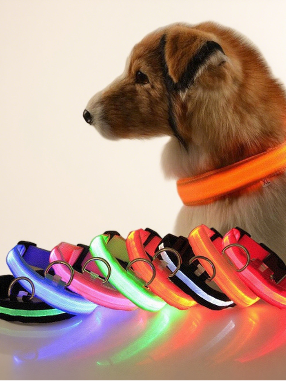 LED Glowing Pet Collar - Red - lifestyle view