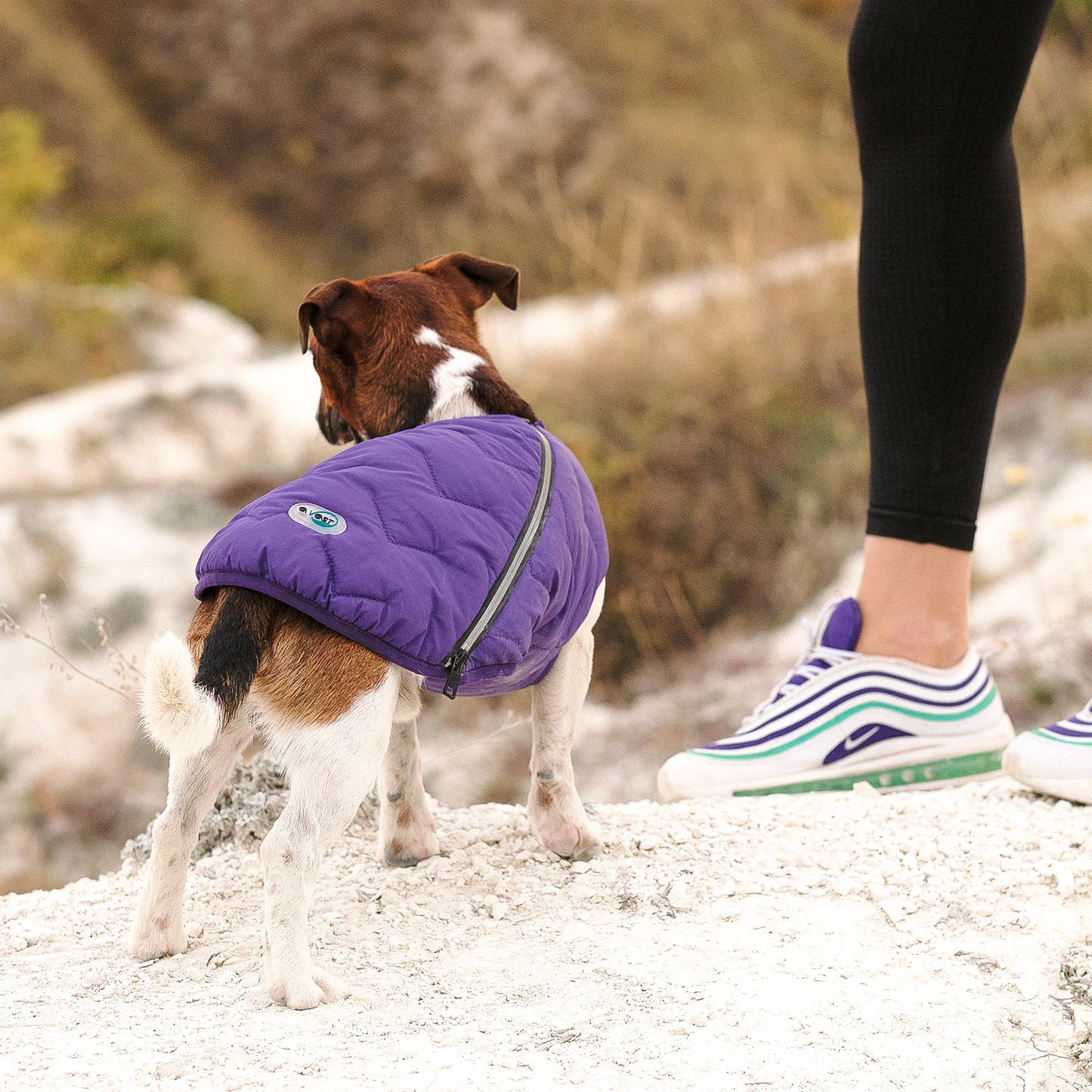 Dog Apparel Sustainable Eco-Friendly Jacket Vest Made in - gallery product image for dog apparel