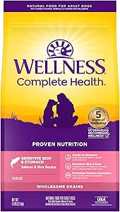 Dry Dog Food Wellness Salmon Recipe Daily Daily Nutrition - main product image
