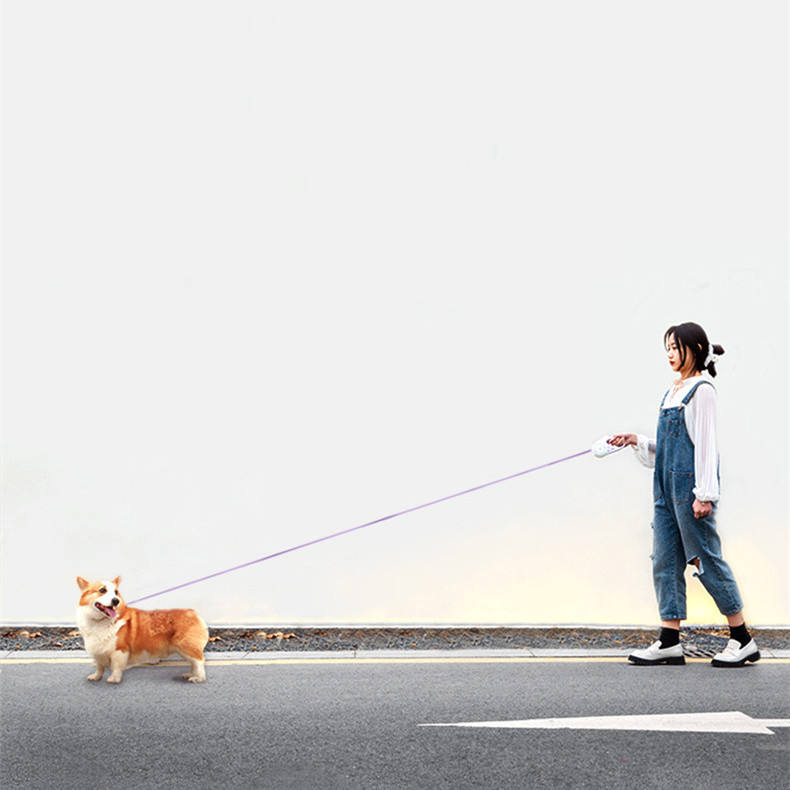 Glowing Automatic Retractable Dog Rope Pet Leash Adjustable - gallery image 5