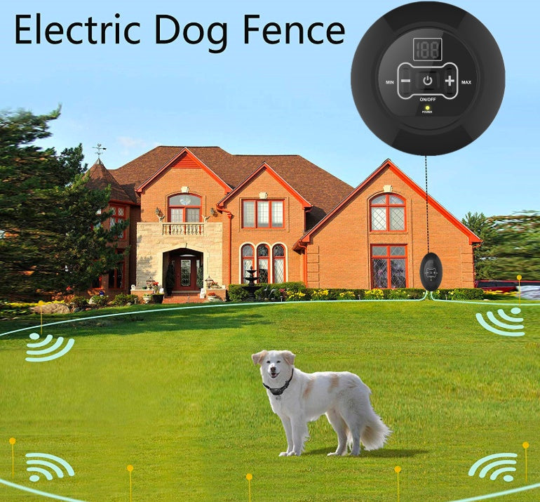Pet Wireless Trainer And Bark Stop Device Dog Training Pet - close up view