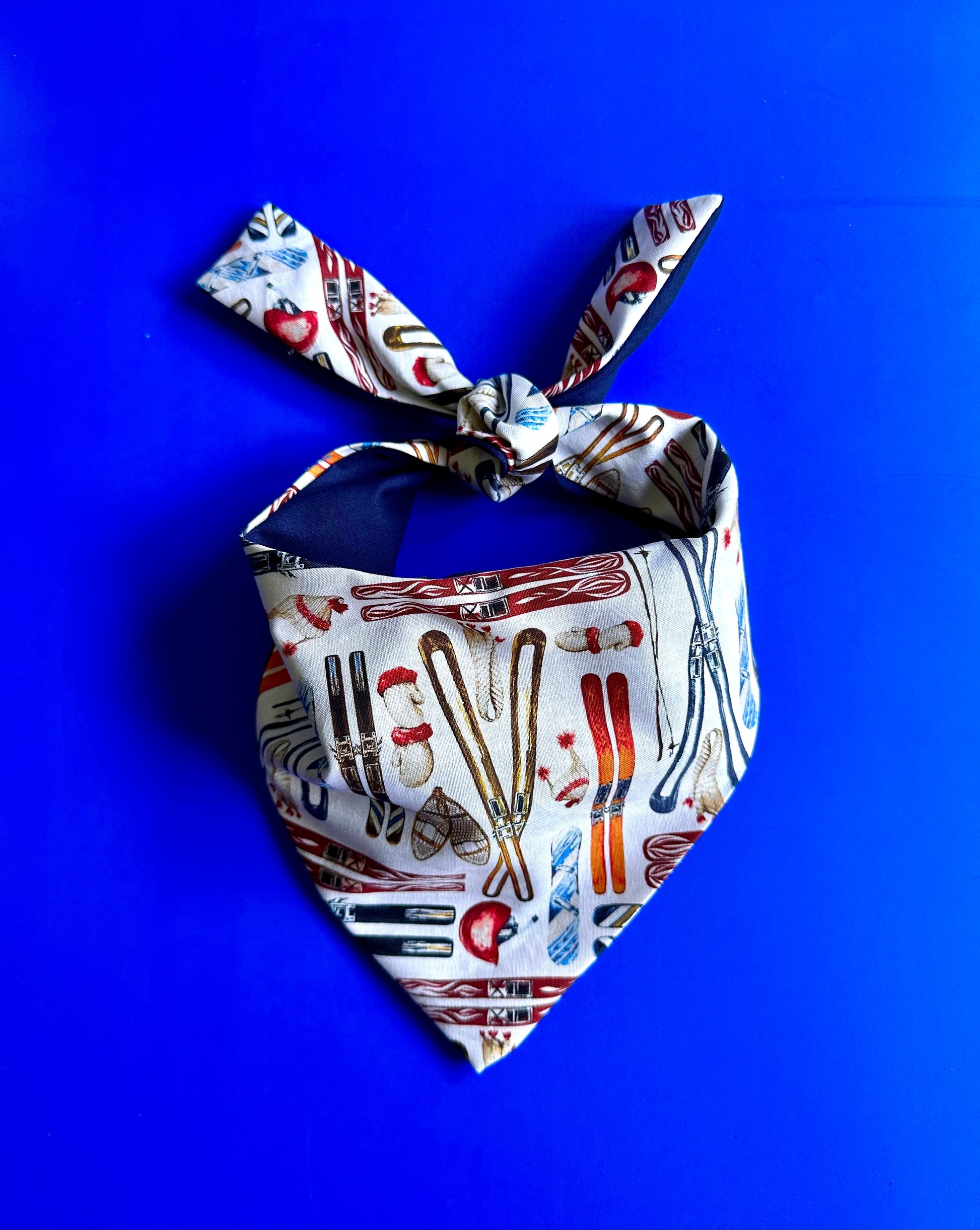 Skiing Dog Bandana - main product image