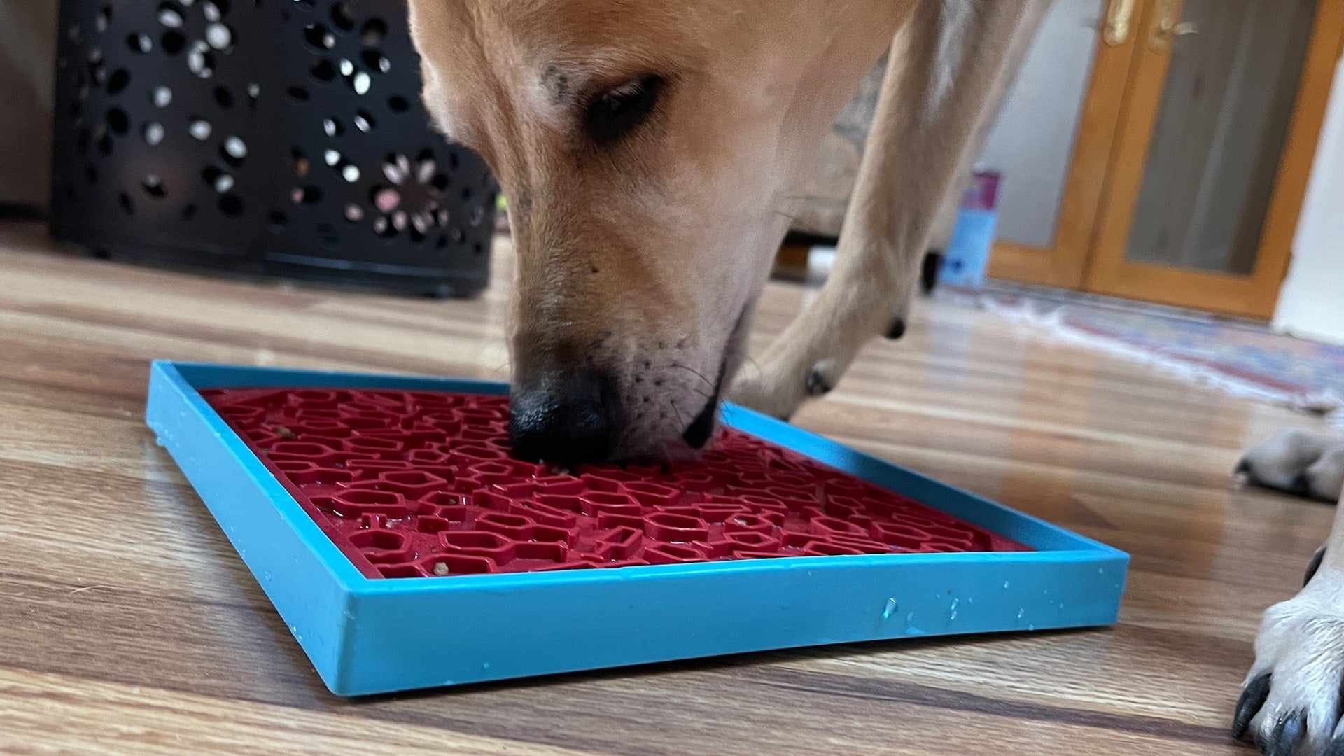 Vino Dog Emat Enrichment Lick Mat For Dogs And Cats Wine Pet - gallery image 9