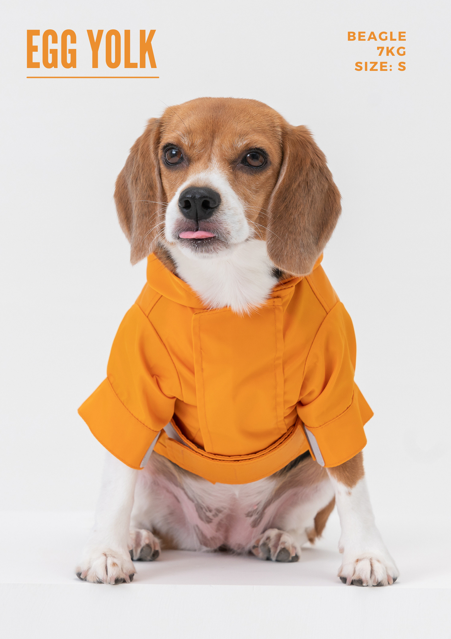 Dog Apparel Active Outdoor Wear Adjustable Pink Comfort - gallery image 6