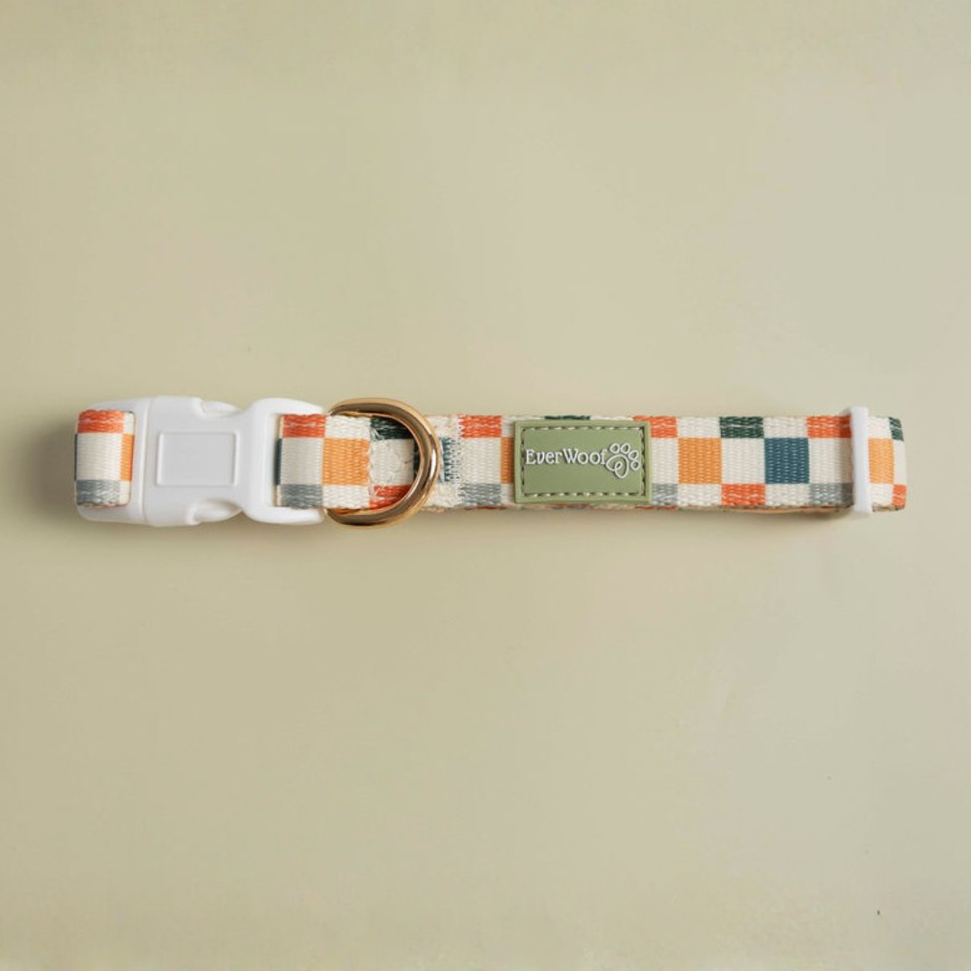 Pet Collar Collar Sage Cider Collar for for Daily Use Essent - main product image for pet collar