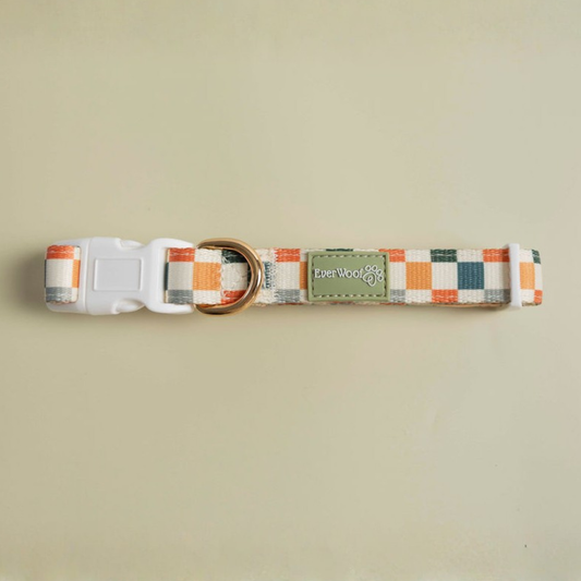 Pet Collar Collar Sage Cider Collar for for Daily Use Essent - main product image for pet collar