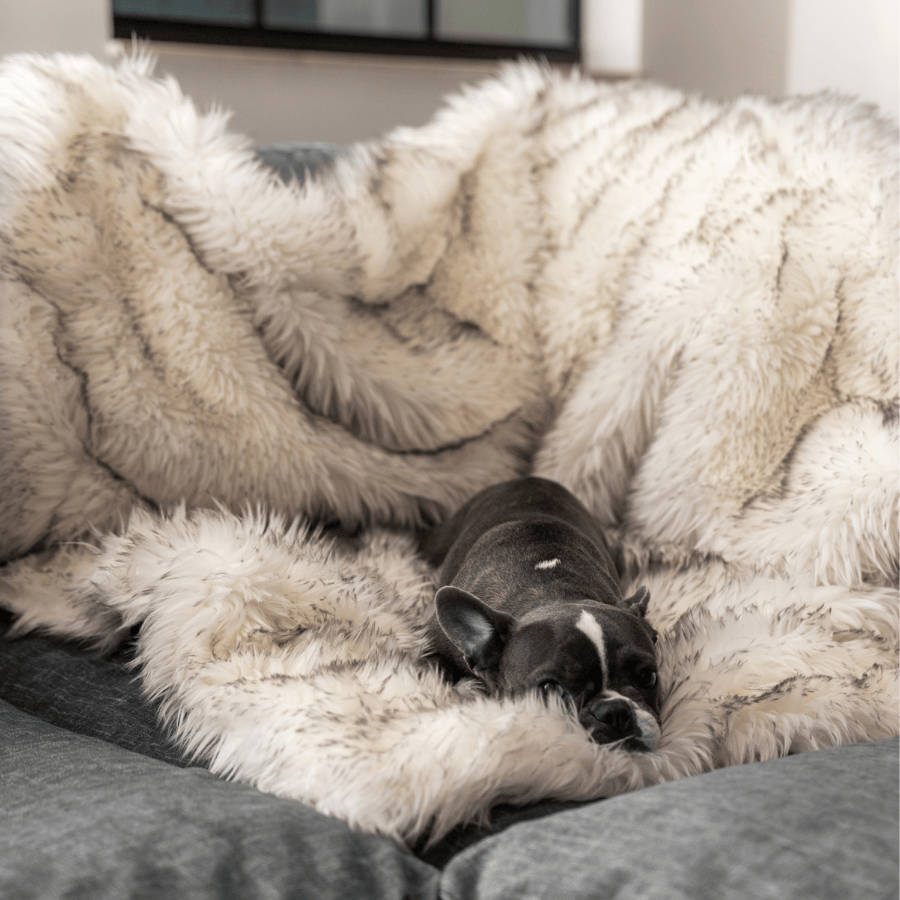 Pupprotector Waterproof Throw Blanket White With Brown Pet - gallery image 8