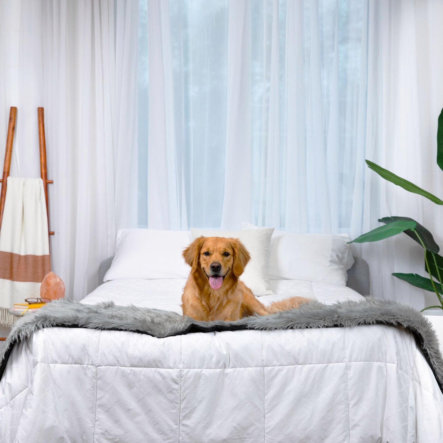 Pupprotector Waterproof Bed Runner Charcoal Grey Washable - gallery image 13