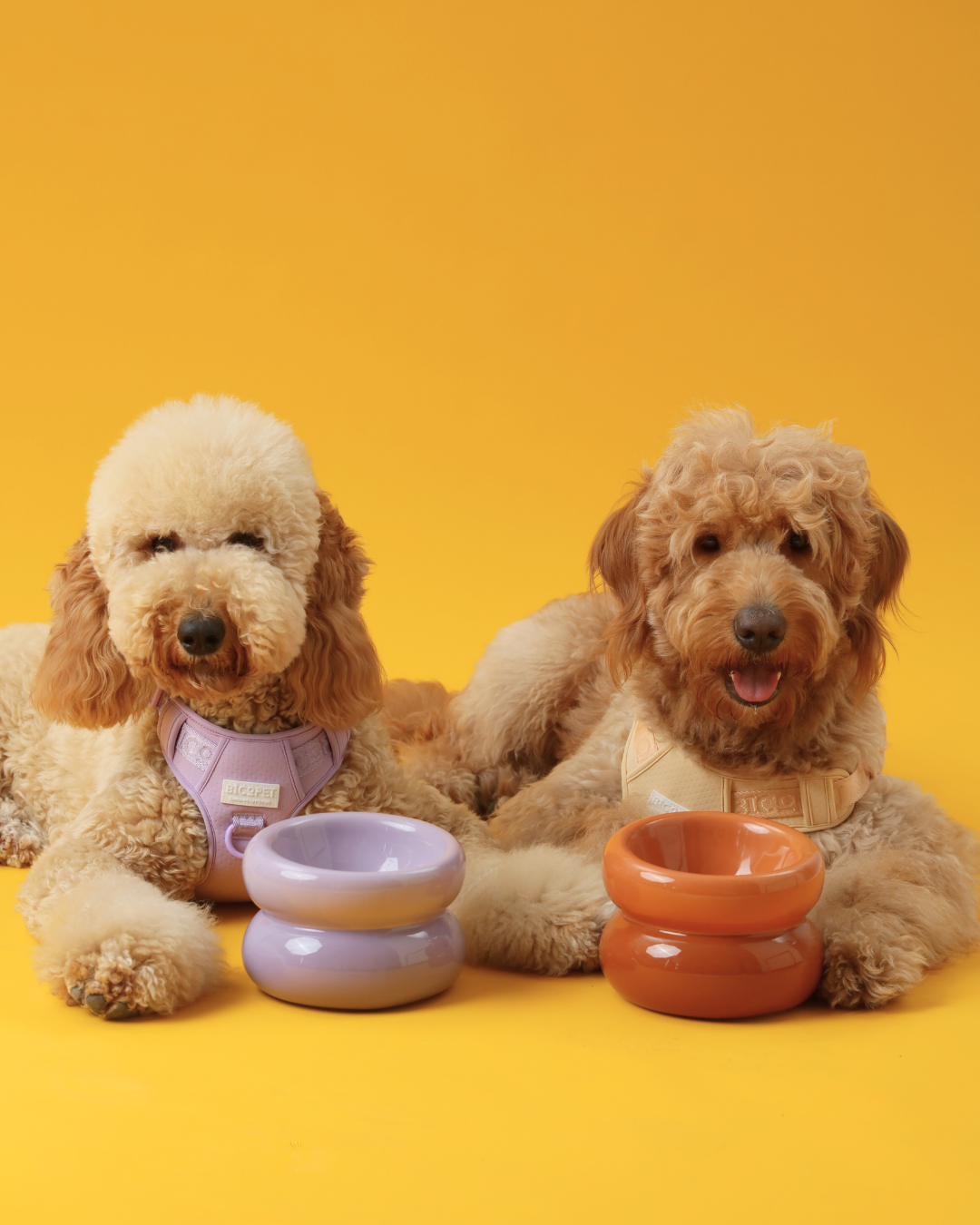 Pet Feeders & Bowls Adjustable Purple Premium Pet Supply - lifestyle view