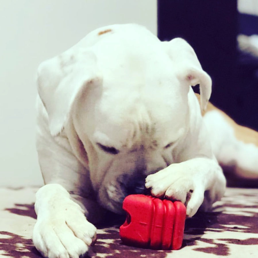 Heart On A String Dog Toy Durable Rubber Tug Toy For Large - gallery image 9