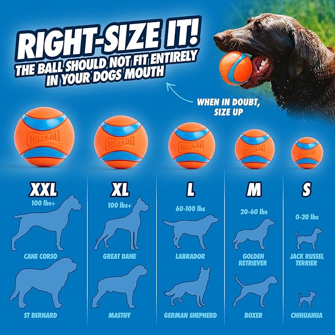 Chuckit Dog Sport Launcher 26L Interactive Dog Toy Durable - close up view