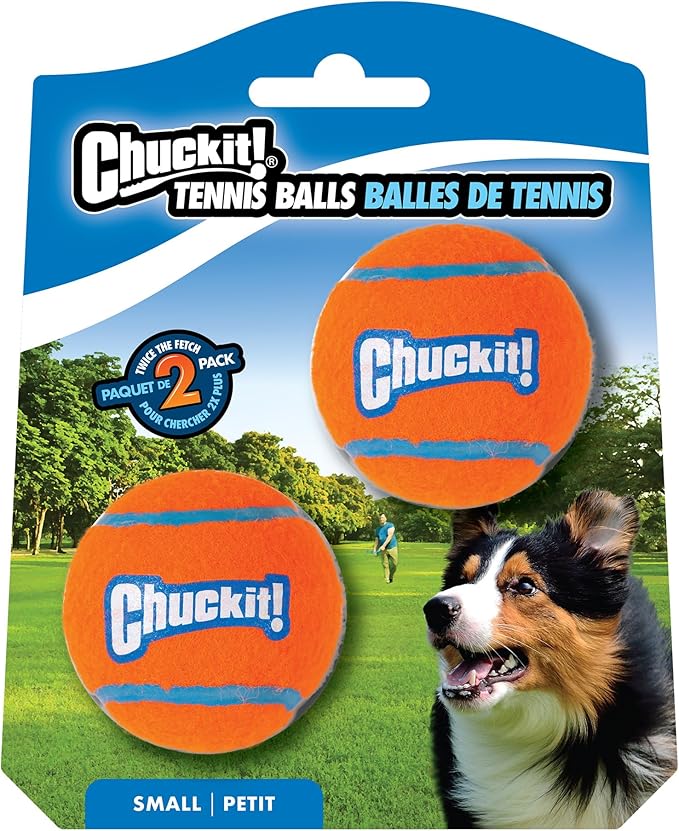 Dog Toy Premium Interactive Chew Play 2 Pack Durable Fun - main product image
