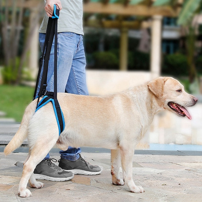 New Adjustable Dog Lift Harness For Back Legs Pet Support - detail view