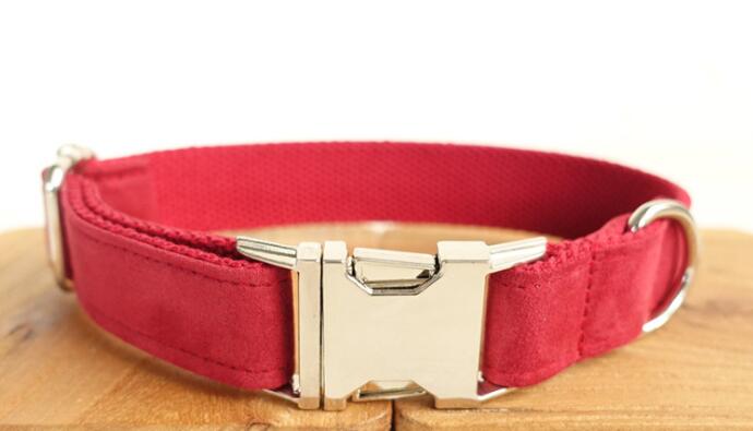 Pet Traction Dog Collar Adjustable Dog Walking Gear Premium - main product image