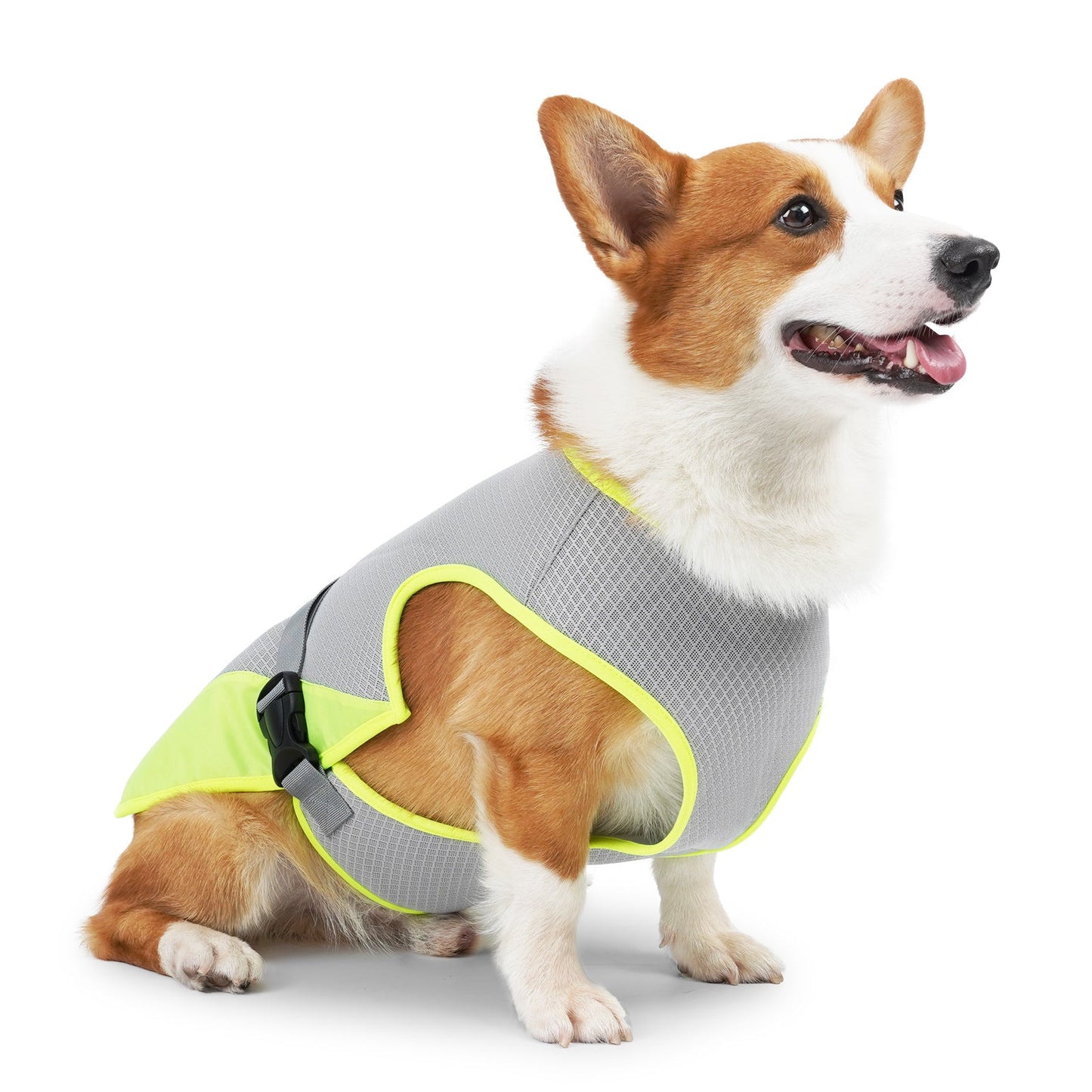 Pet Dog Clothing Cooling Summer Vest For Hot Heat Dog Pet - gallery image 6