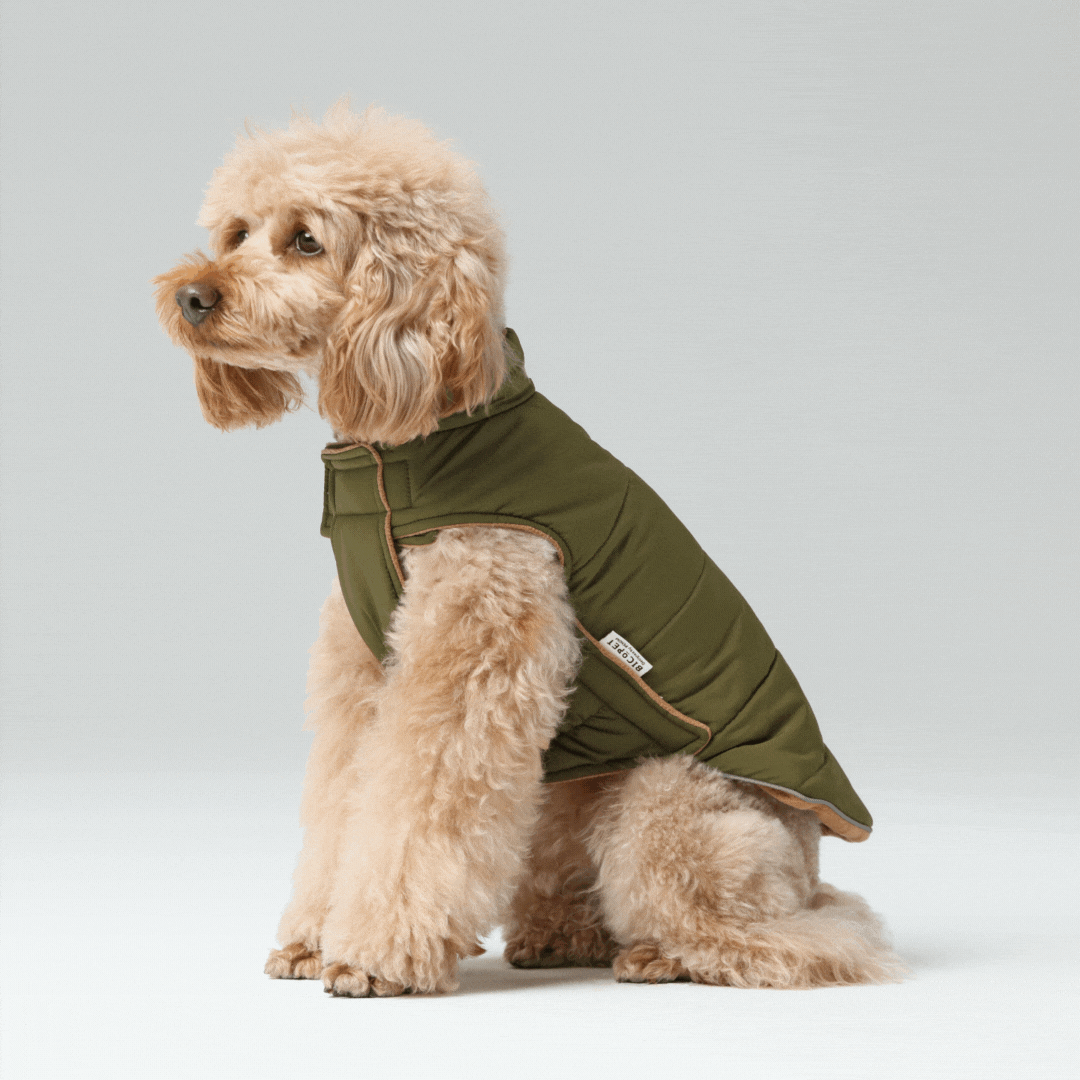 Reversible Dog Vest Jacket Green Brown Dog Apparel Premium - detail view