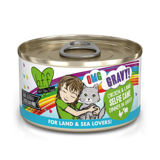 Bff Omg Adult Selfie Cam Chicken And Lamb Wet Cat Food 5 5Oz - main product image