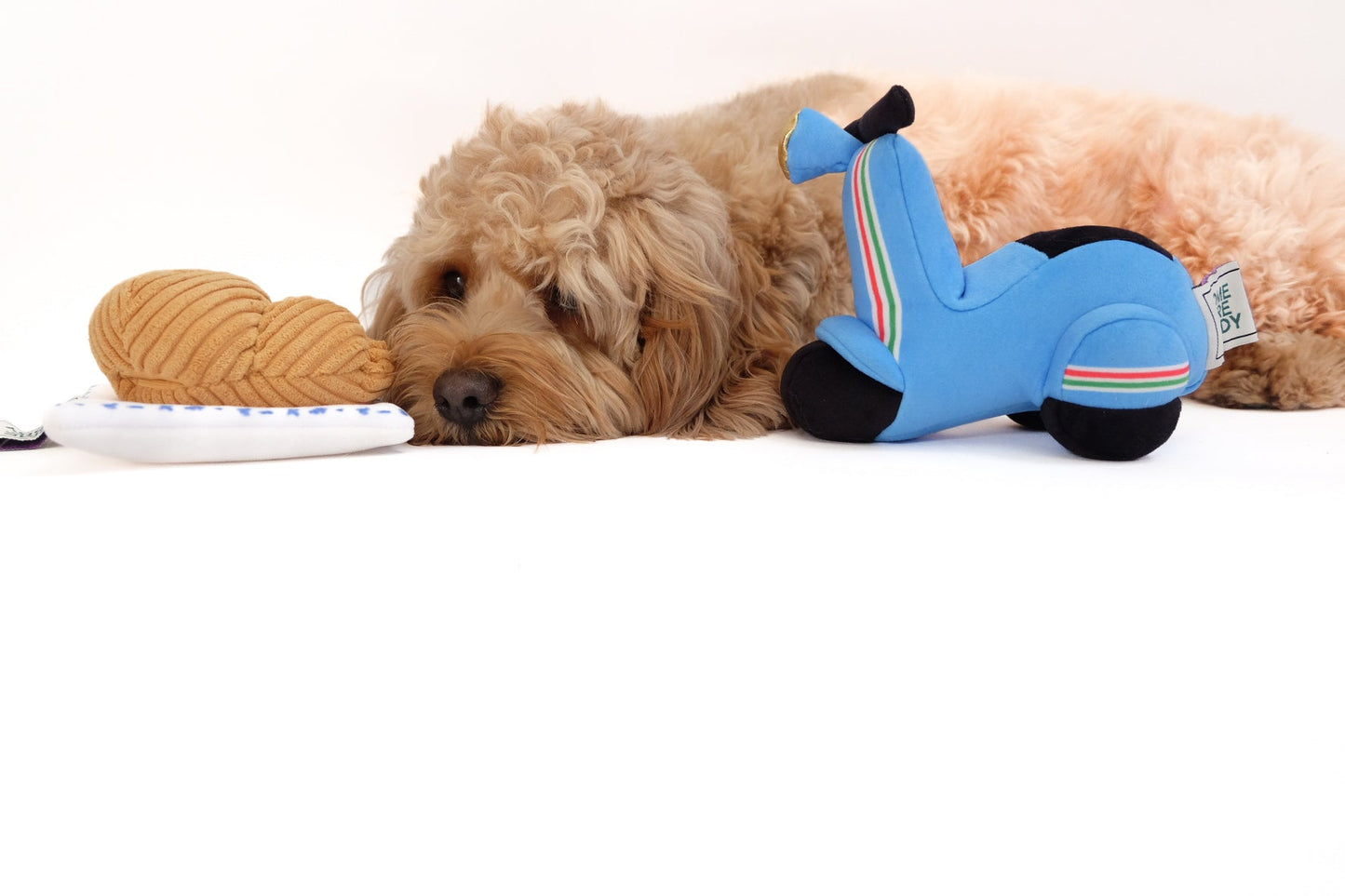 Scooter Pet Plush Toy - lifestyle view