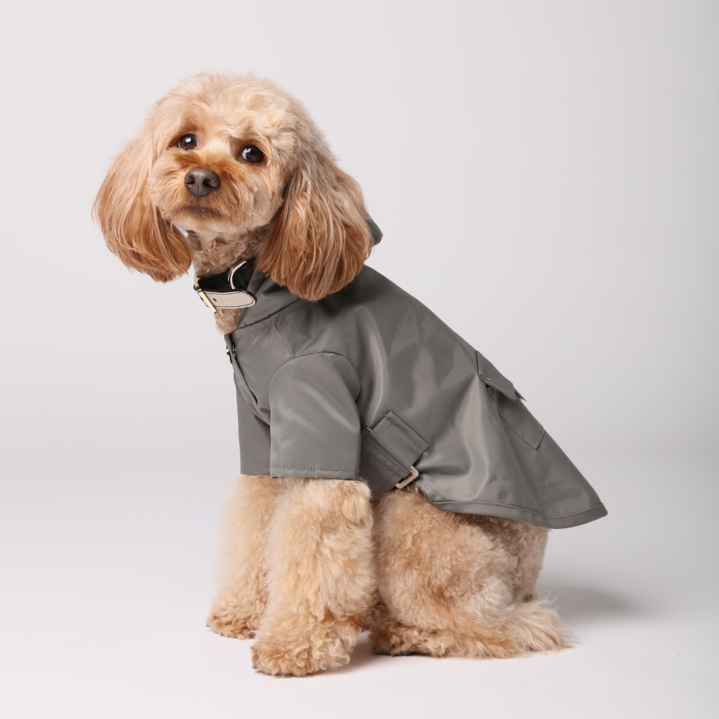 Dog Apparel Active Outdoor Wear Adjustable GRAY Comfort - lifestyle view