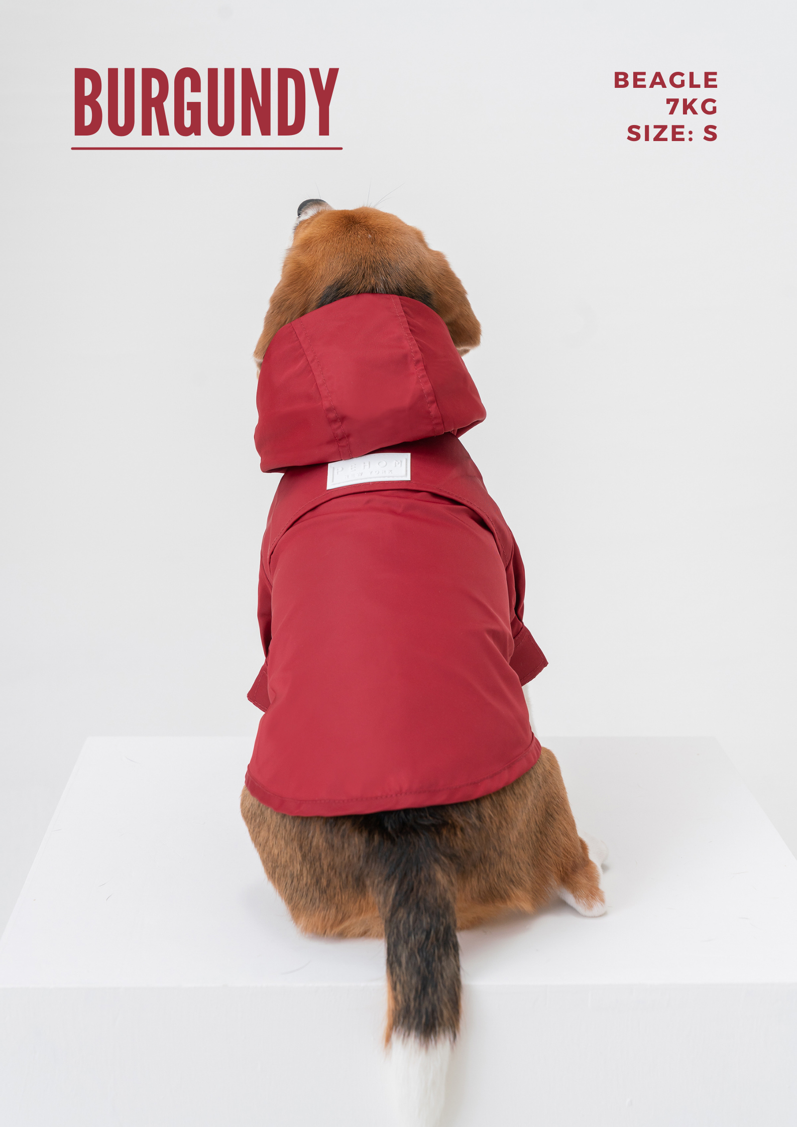 Tribeca Adjustable Velcro Raincoat Light Blue Dog Apparel - gallery image 7