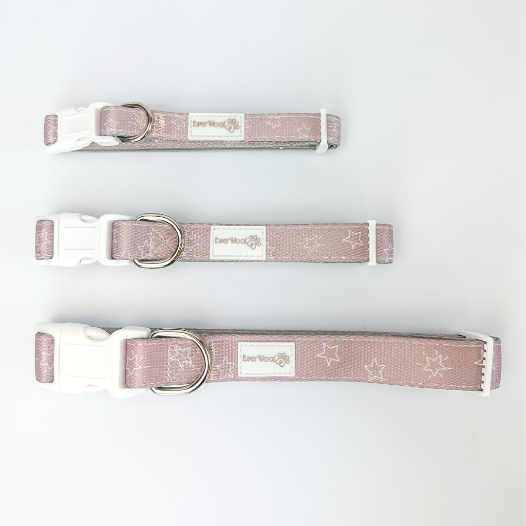 Pet Collar Collar Asteria Collar for for Daily Use Essential - lifestyle product image for pet collar