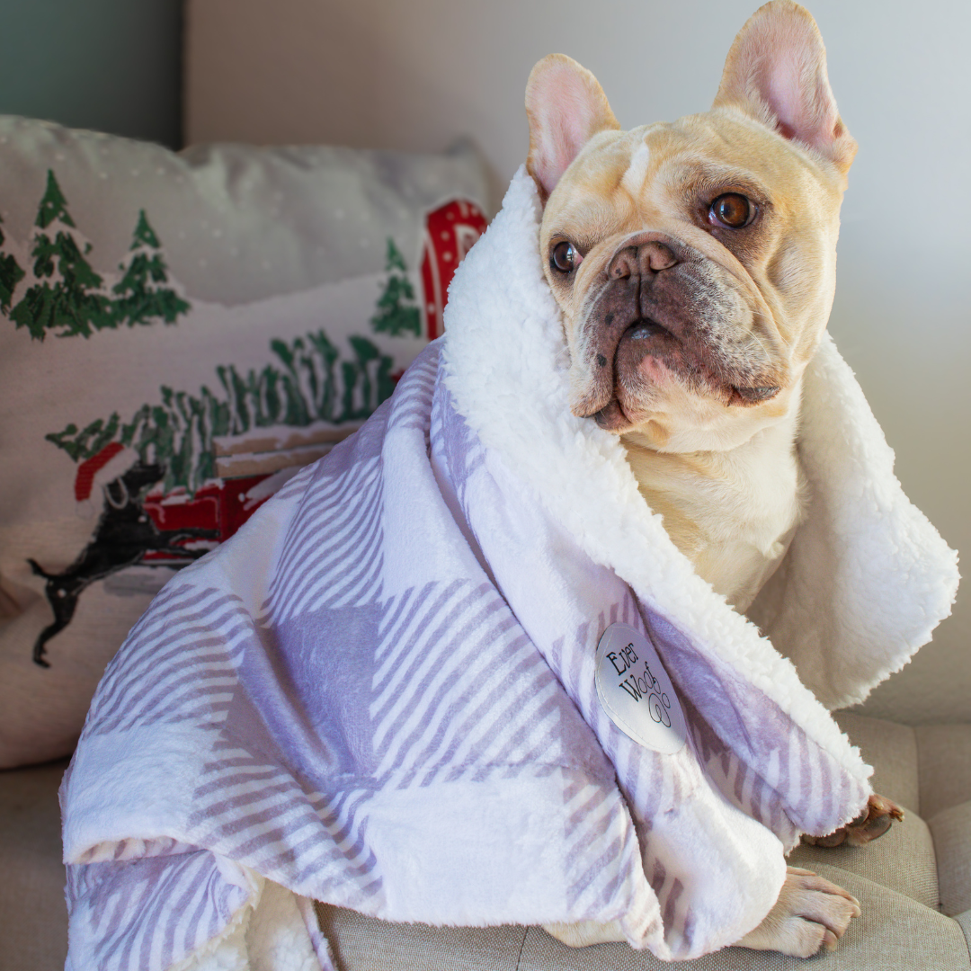 Dog Bed Bed Sugar Plum Blanket for for Daily Use for Comfort - size and texture image for dog bed