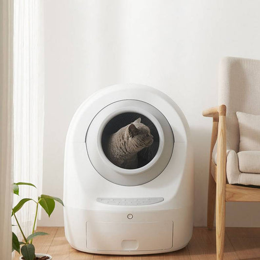 Automatic Enclosed Wi-Fi Smart Cat Litter Box - Cat Litter Boxes at Purrfect Pet Kingdom