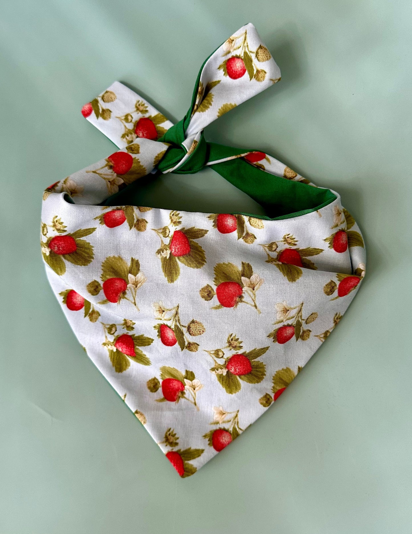 Strawberry Dog Bandana - main product image