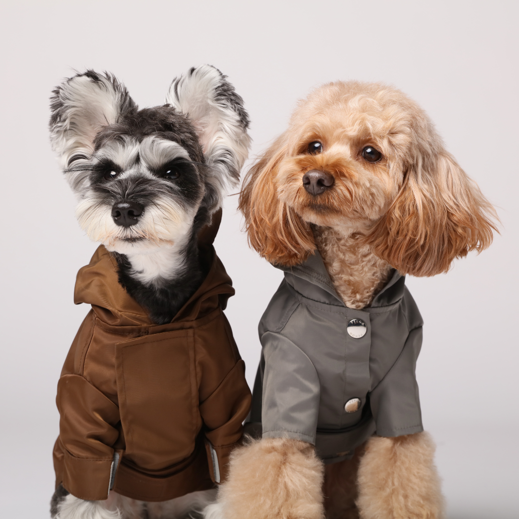 Dog Apparel Active Outdoor Wear Adjustable GRAY Comfort - gallery image 8