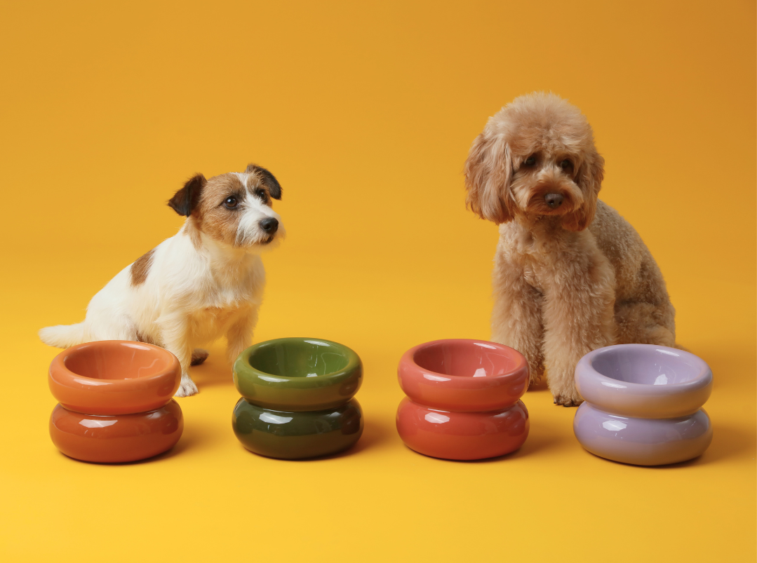 Pet Feeders & Bowls Adjustable Blue Premium Pet Supply Premi - gallery image 16