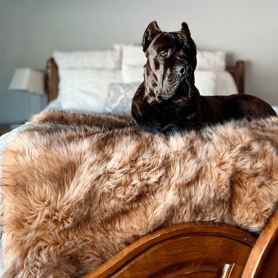 Pupprotector Waterproof Throw Blanket Sable Tan Washable - gallery image 8
