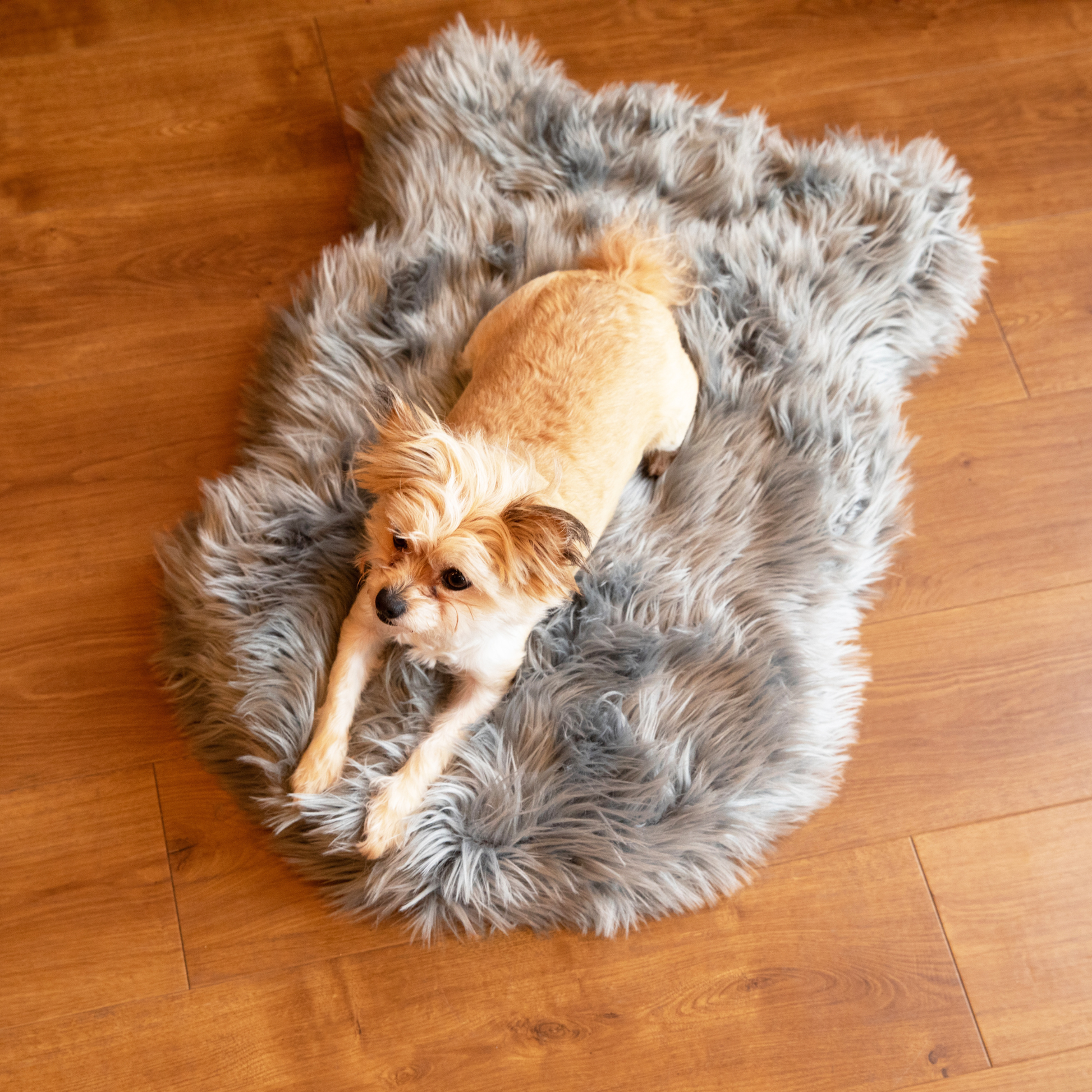 Memory Foam Dog Bed Faux Fur Charcoal Grey Orthopedic Comfor - gallery image 7