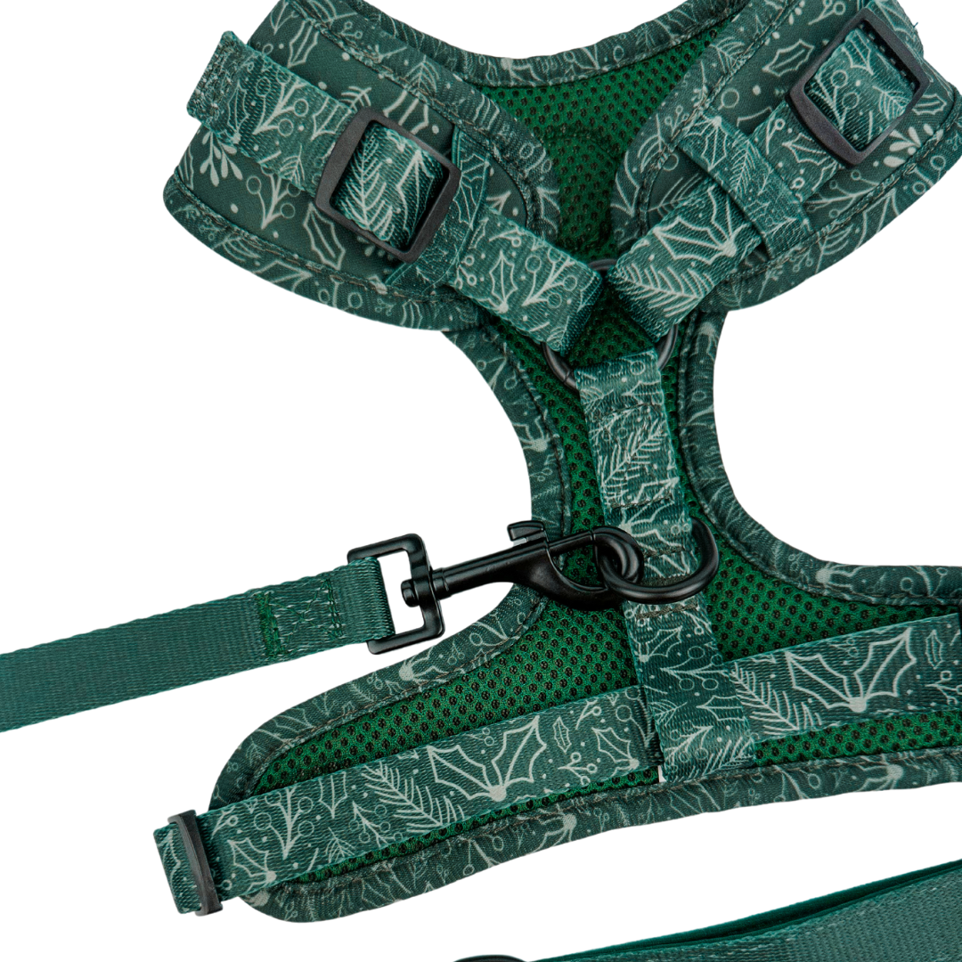 Pet Harness Harness Evergreen Dream Adjustable Harness Essen - lifestyle product image for pet harness