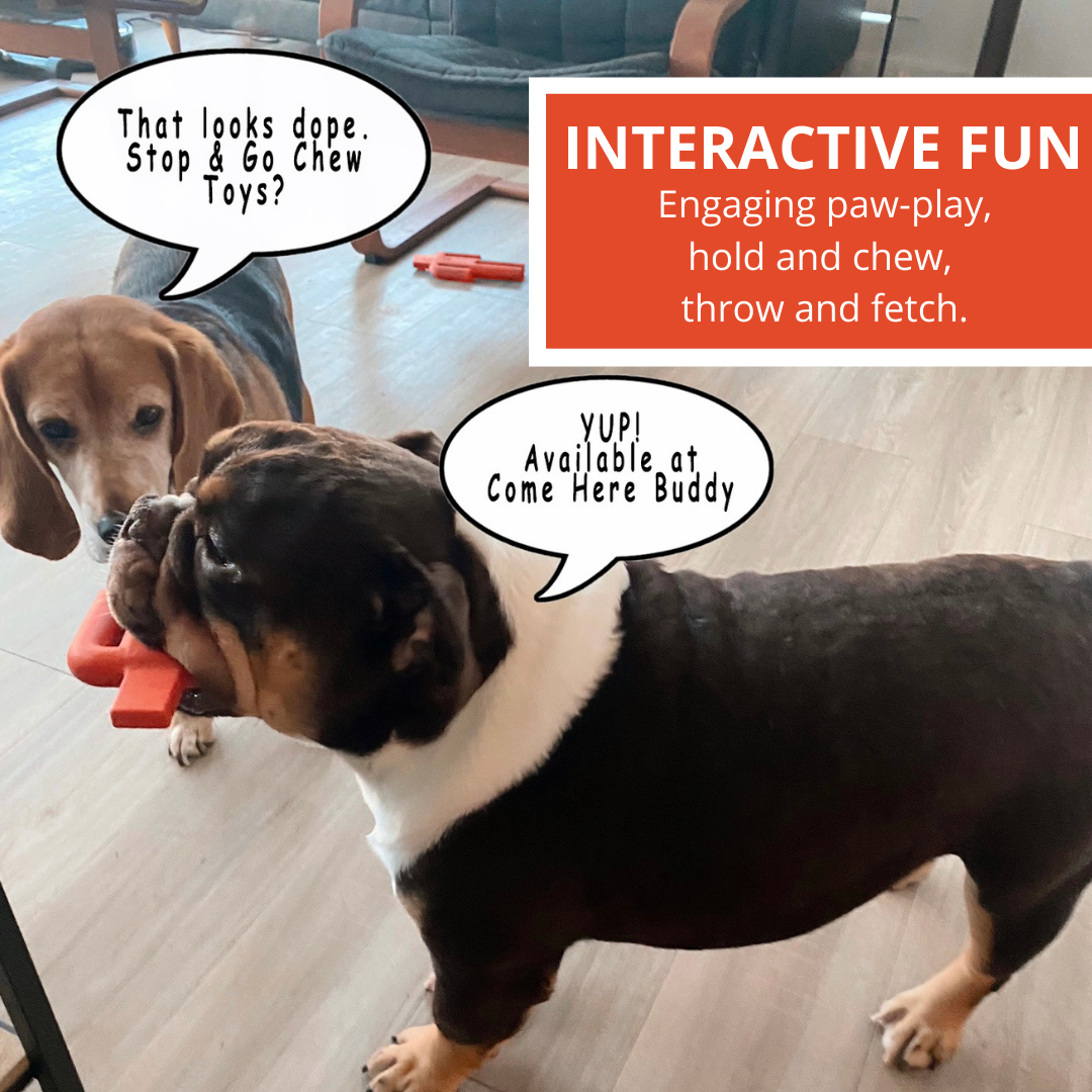 Dog Chew Toy - gallery image 5