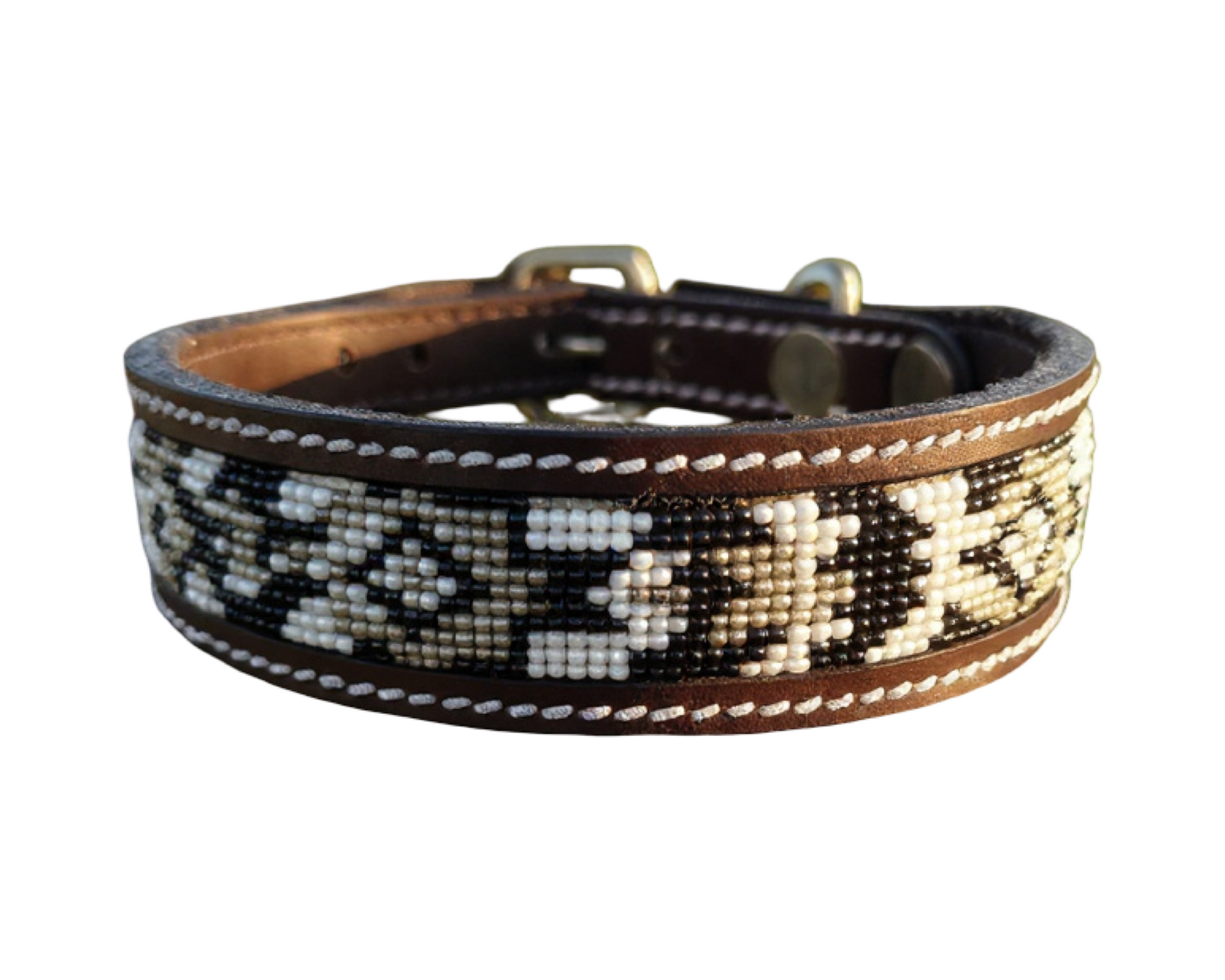 Epic Padded Leather Dog Collar with Beaded Design Dog Collar - lifestyle view