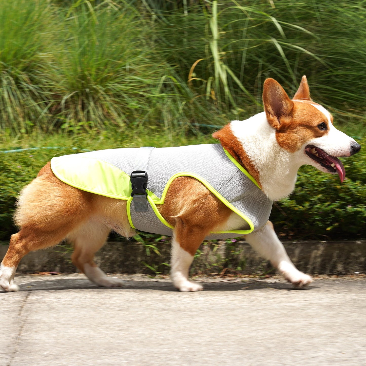 Pet Dog Clothing Cooling Summer Vest For Hot Heat Dog Pet - close up view