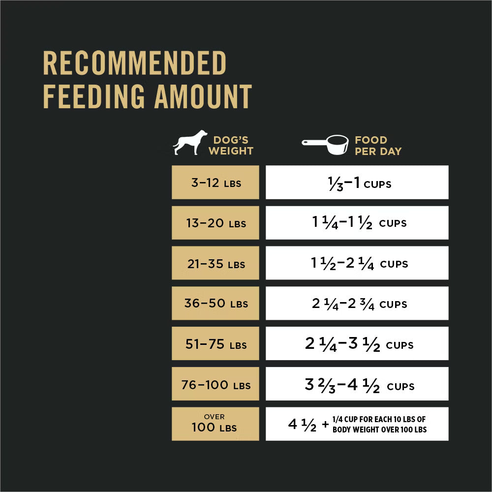 Dry Dog Food Premium Chicken Recipe 6lb Daily Nutrition - lifestyle view