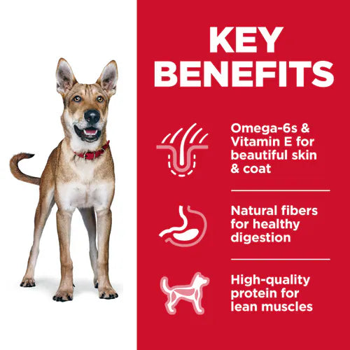 Hills Science Diet Adult Chicken Barley Recipe Dry Dog Food - close up view