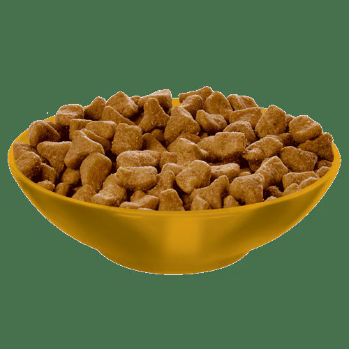 Hills Science Diet Adult Hairball Control Chicken Recipe Dry - lifestyle view