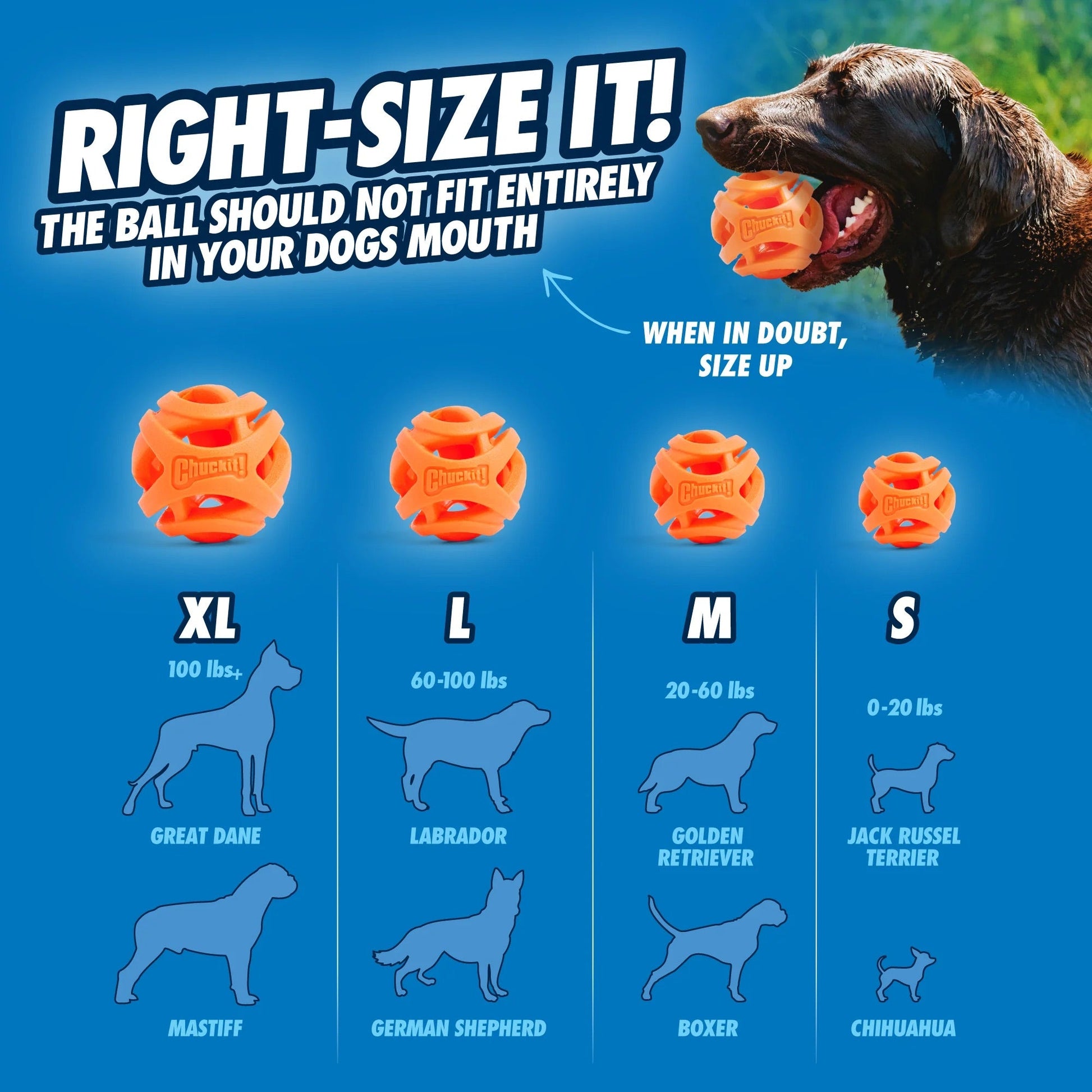 Chuckit Dog Breathe Fetch Ball Small 2 Pack Interactive Dog - detail view