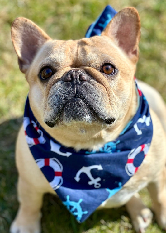 Nautical Dog Bandana New Arrivals - detail view