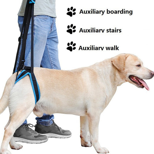New Adjustable Dog Lift Harness For Back Legs Pet Support - main product image