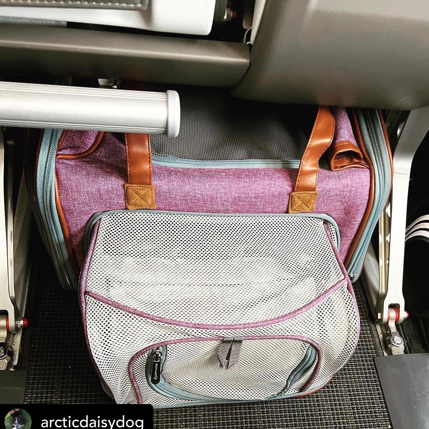 Mr. Peanut's Gold Series Big Apple Double Expandable Pet Carrier - gallery image 8