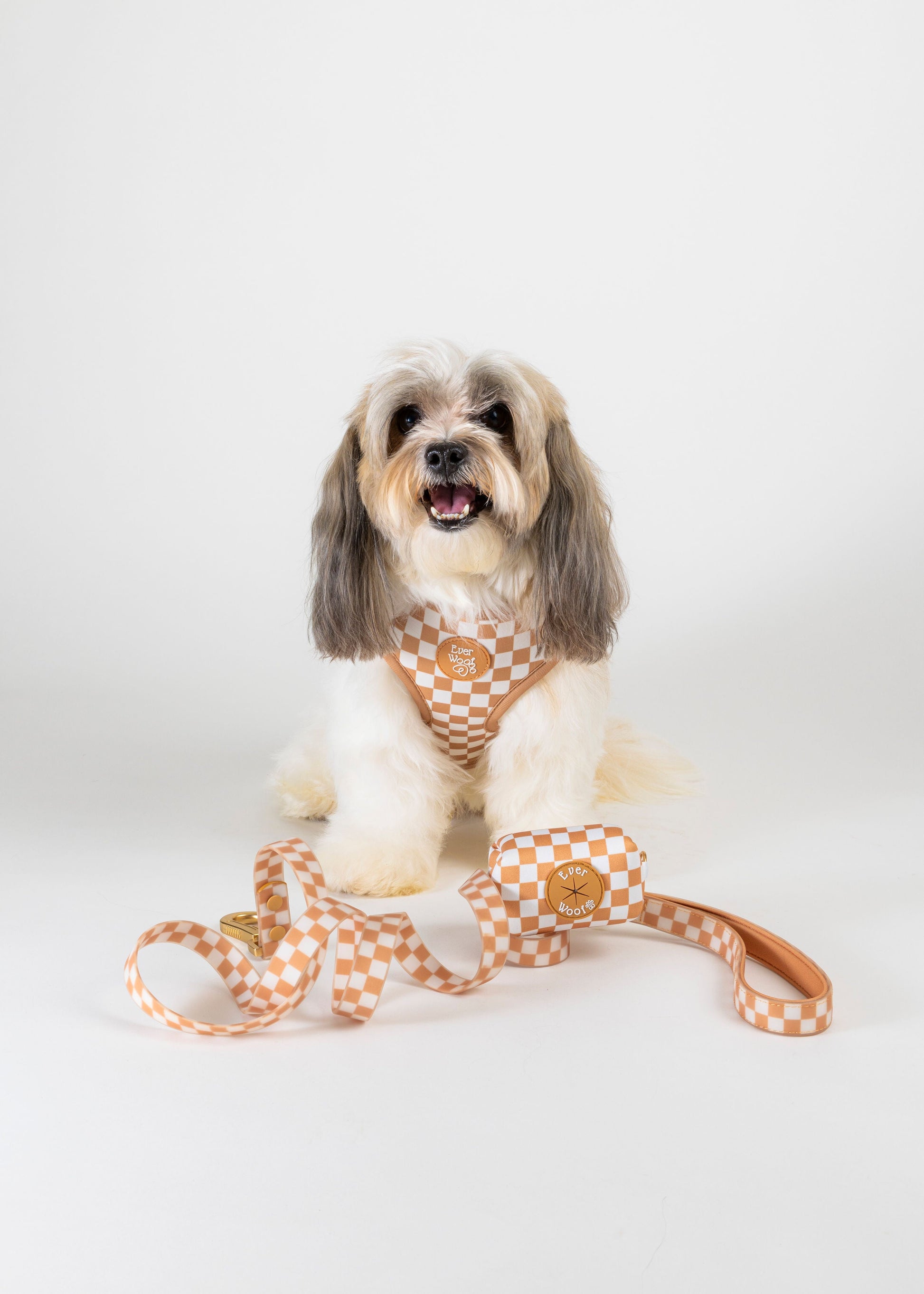 Pet Harness Harness Check Me Out Adjustable Harness Essentia - close up product image for pet harness